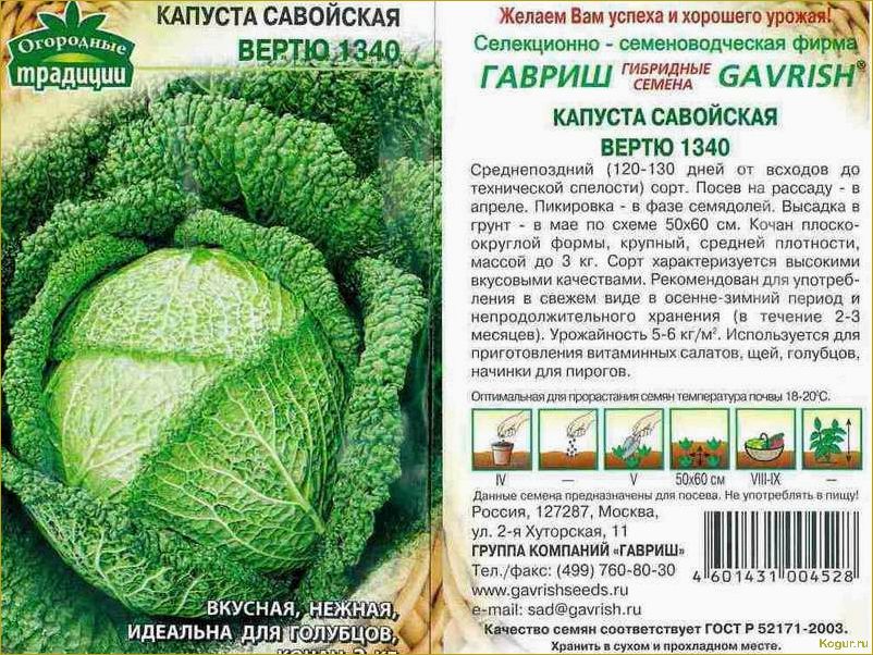 Выращивание и уход за савойской капустой