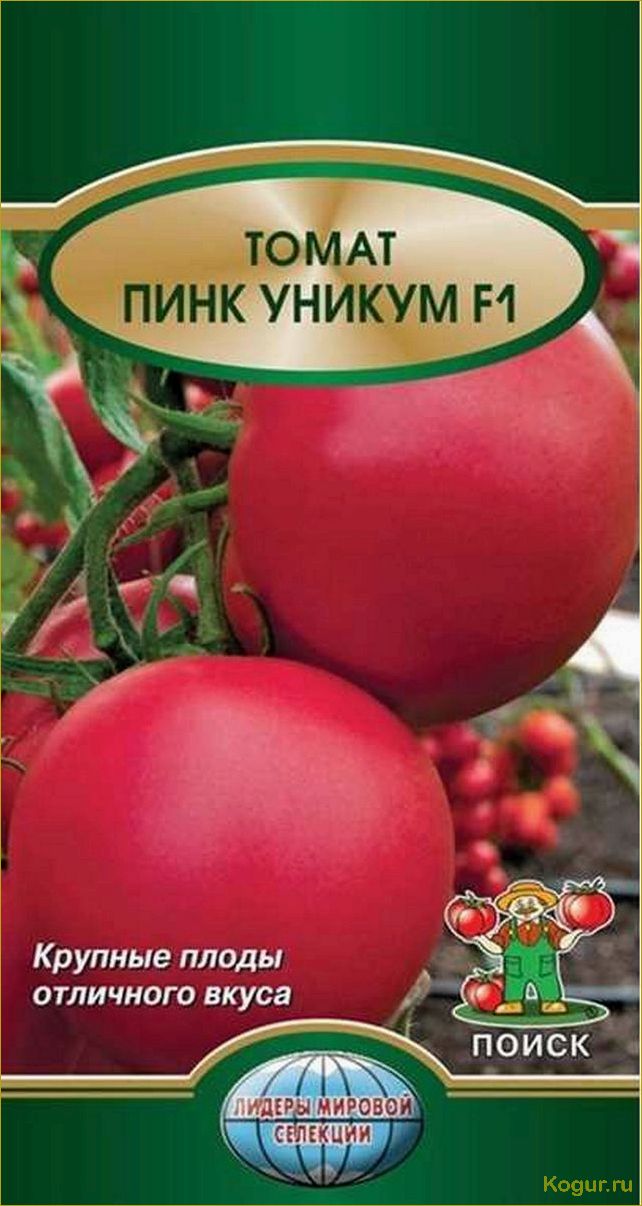 Тонкости выращивания высокоурожайного гибрида томата Пинк Уникум f1