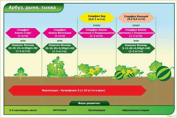 Удобрение для газона: особенности подкормок и выбор средств
