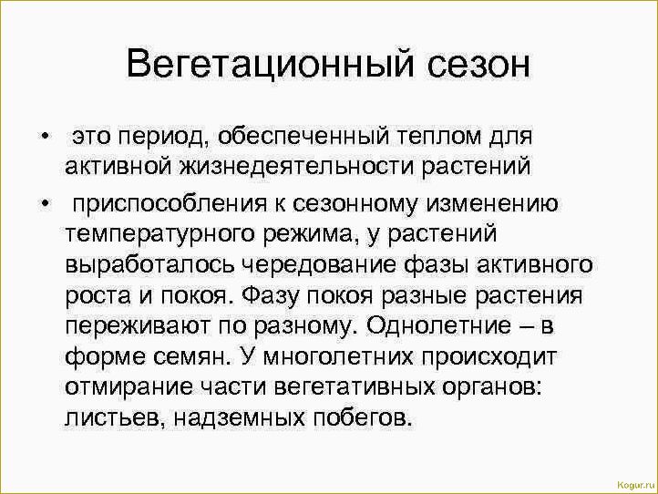 Вегетативный период у растений: особенности развития различных культур