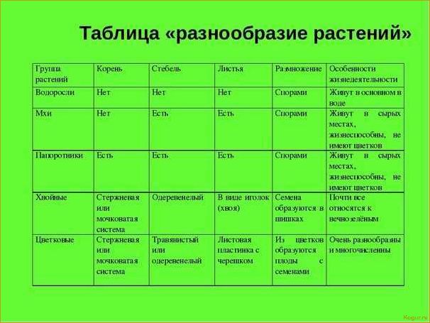 Вегетативный период у растений: особенности развития различных культур