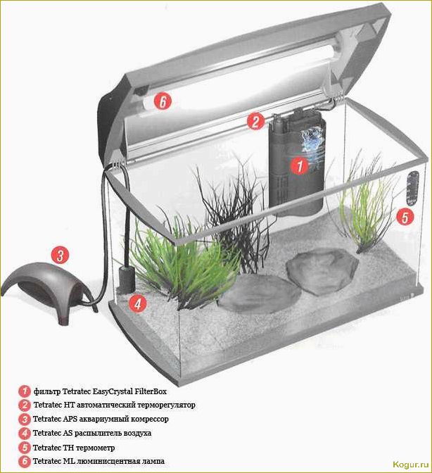 Зачем нужна подсветка аквариума и как правильно ее выбрать