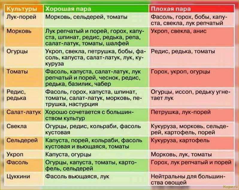 Какие культуры хорошо растут рядом с морковью?