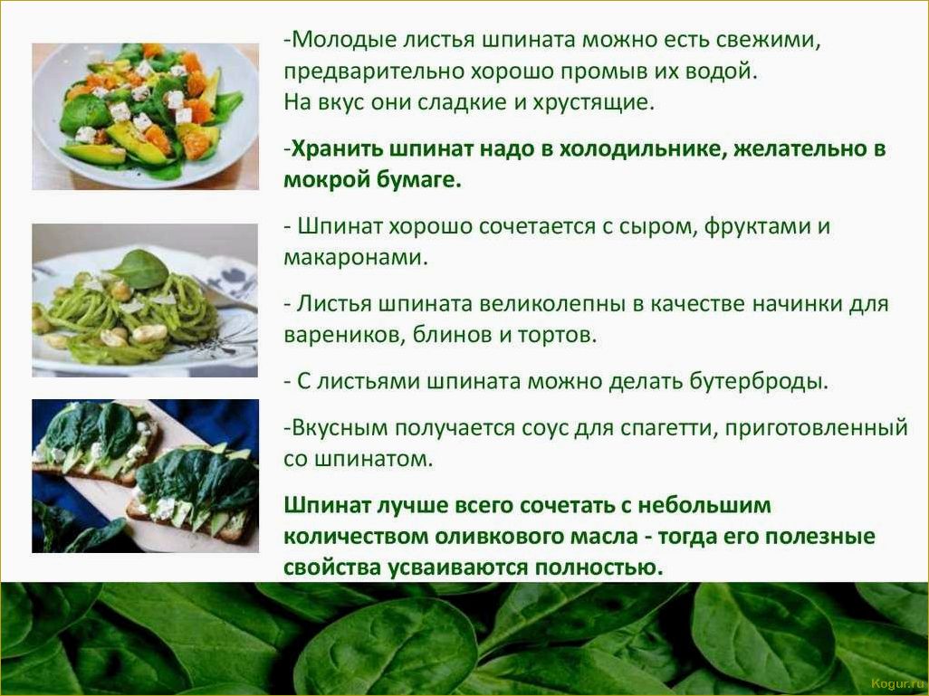 Шпинат: вкусное и полезное блюдо для всей семьи