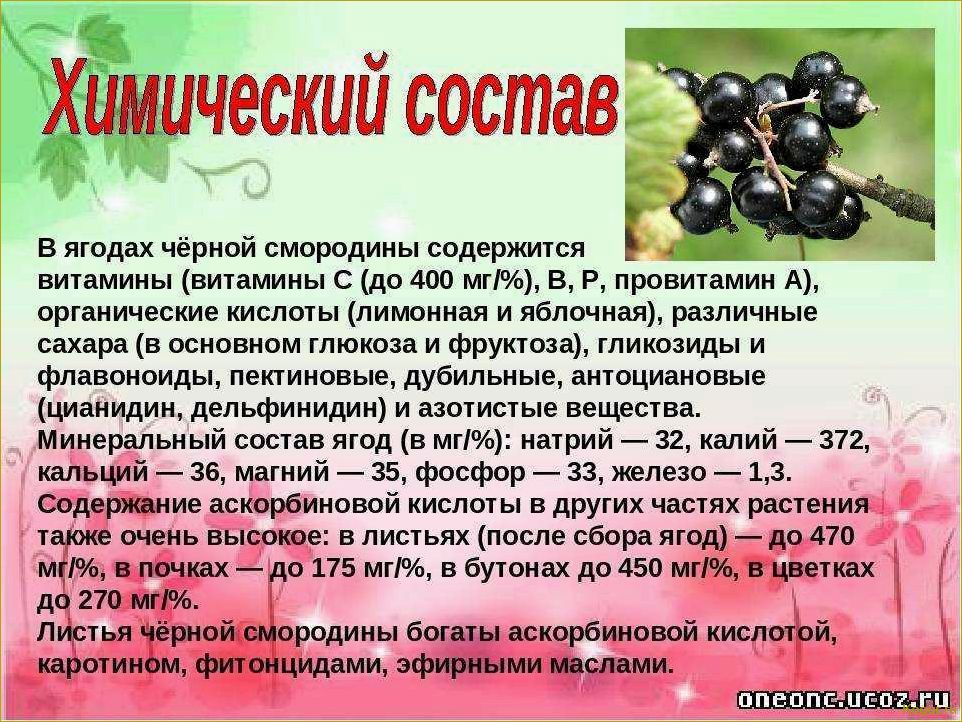 Польза и вред виноградных листьев для организма: полезные свойства и возможные побочные эффекты