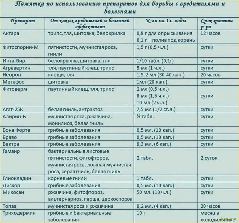 Использование препарата Маршал для эффективной борьбы с вредителями на садовых и огородных участках