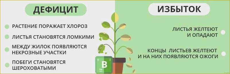 Разнообразное применение борной кислоты в огородничестве и садоводстве