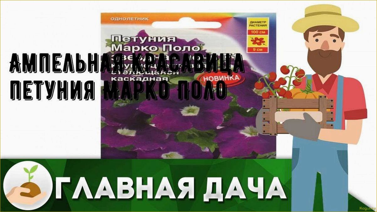 Познакомьтесь с потрясающей ампельной петунией Марко Поло — настоящая красавица!