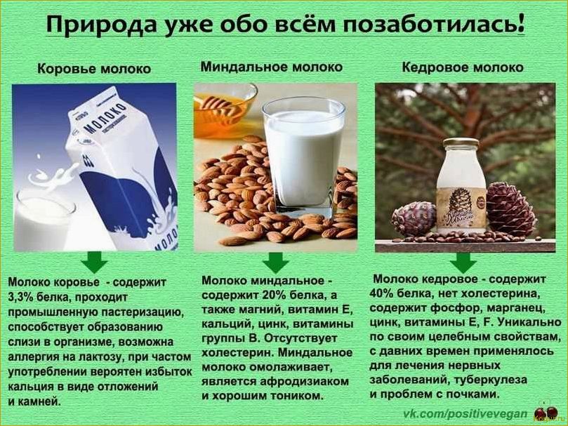 Как выбрать лучшее молоко: виды и советы