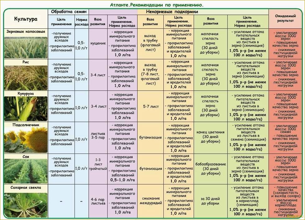 Календарь дачника: июль на огородных грядках