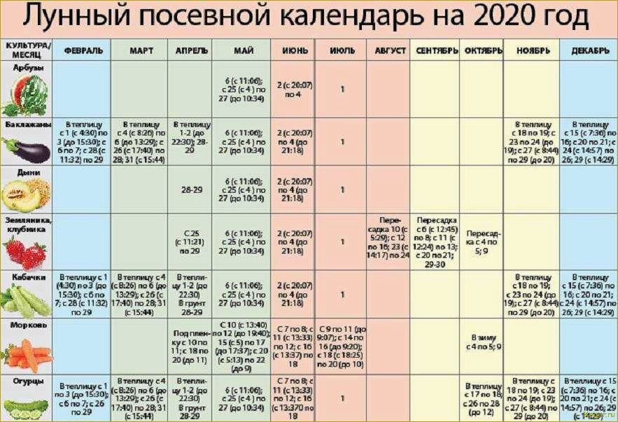 Календарь дачника: июль на огородных грядках