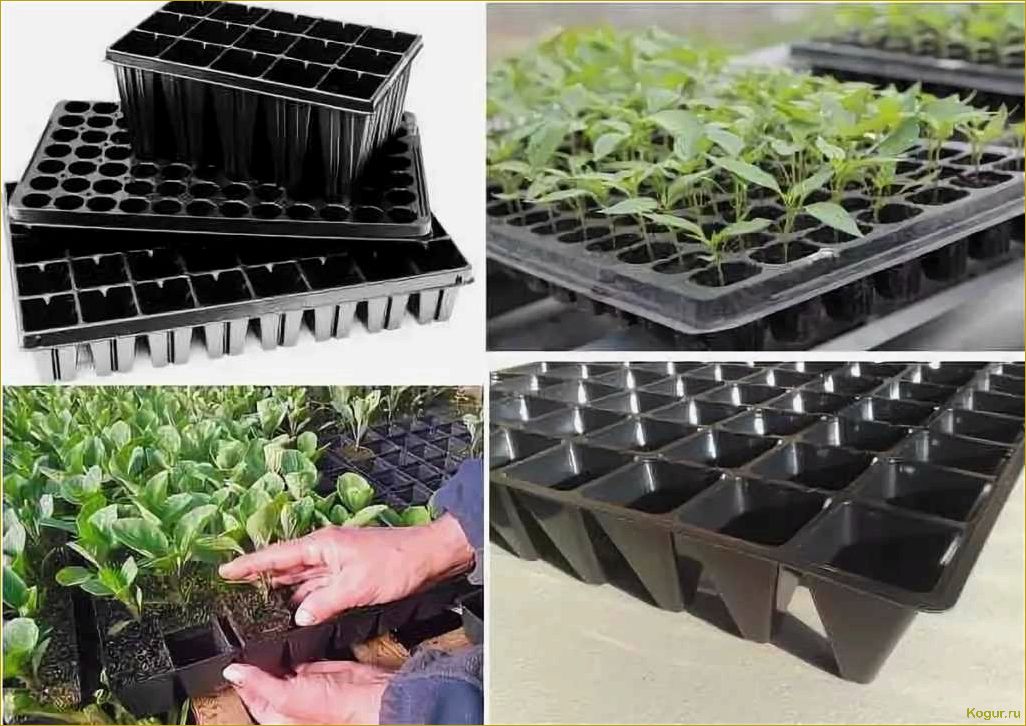 Кассетные емкости для выращивания рассады овощных и цветочных культур