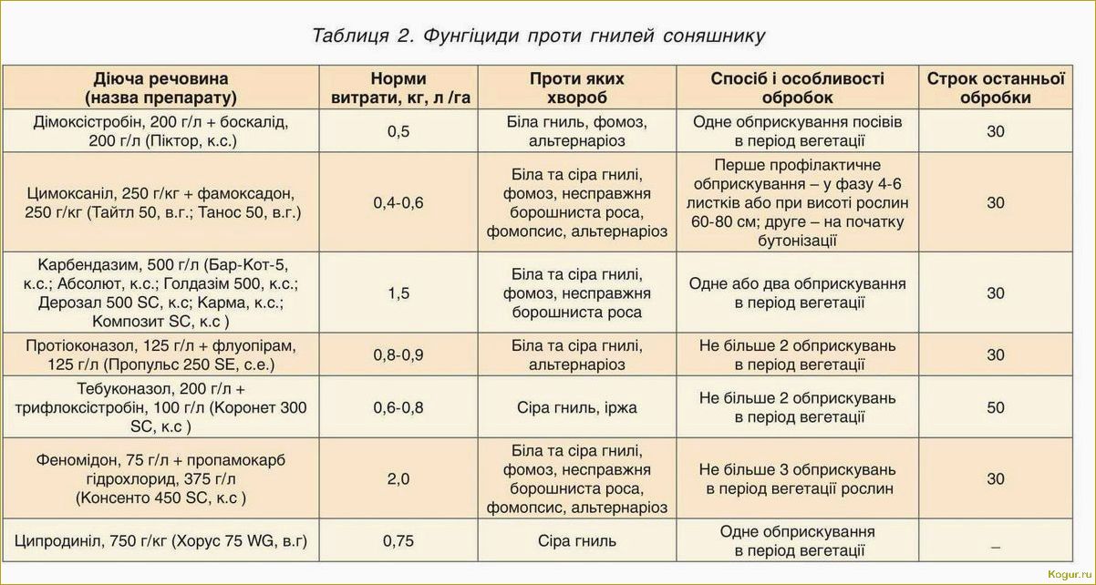 Незаменимый фунгицид Акробат МЦ — инструкция по применению и дозировка для садово-огородных культур