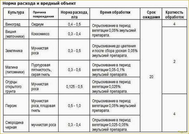 Незаменимый фунгицид Акробат МЦ — инструкция по применению и дозировка для садово-огородных культур