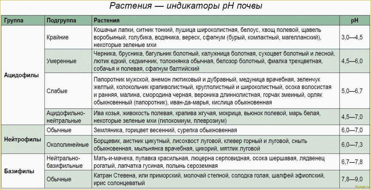 Что такое аллелопатия растений и как ее можно использовать на дачном участке?