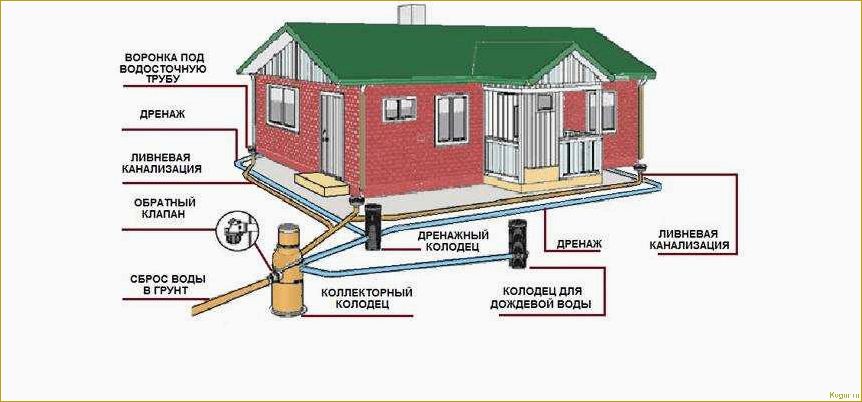 Важность дренажной системы вокруг дома: виды, установка и возможность самостоятельного монтажа.