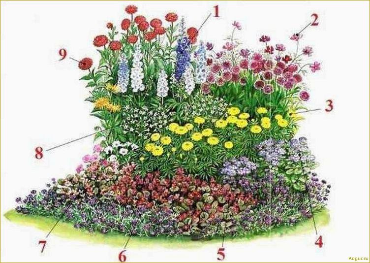 Идеи клумб с многолетниками для вашего сада
