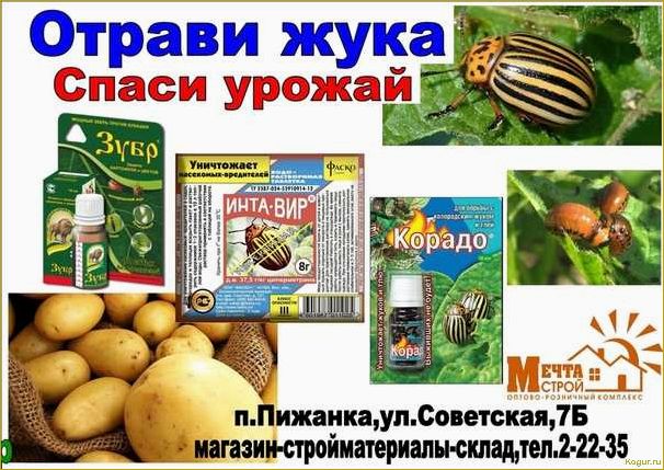 Уксус и горчица от колорадского жука: эффективные методы борьбы