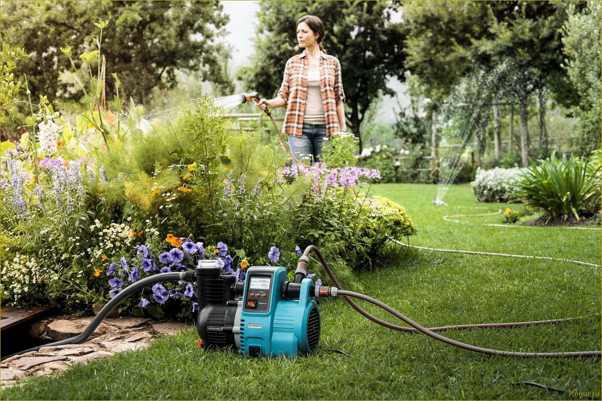 Как выбрать поверхностный водяной насос для дачи и сада