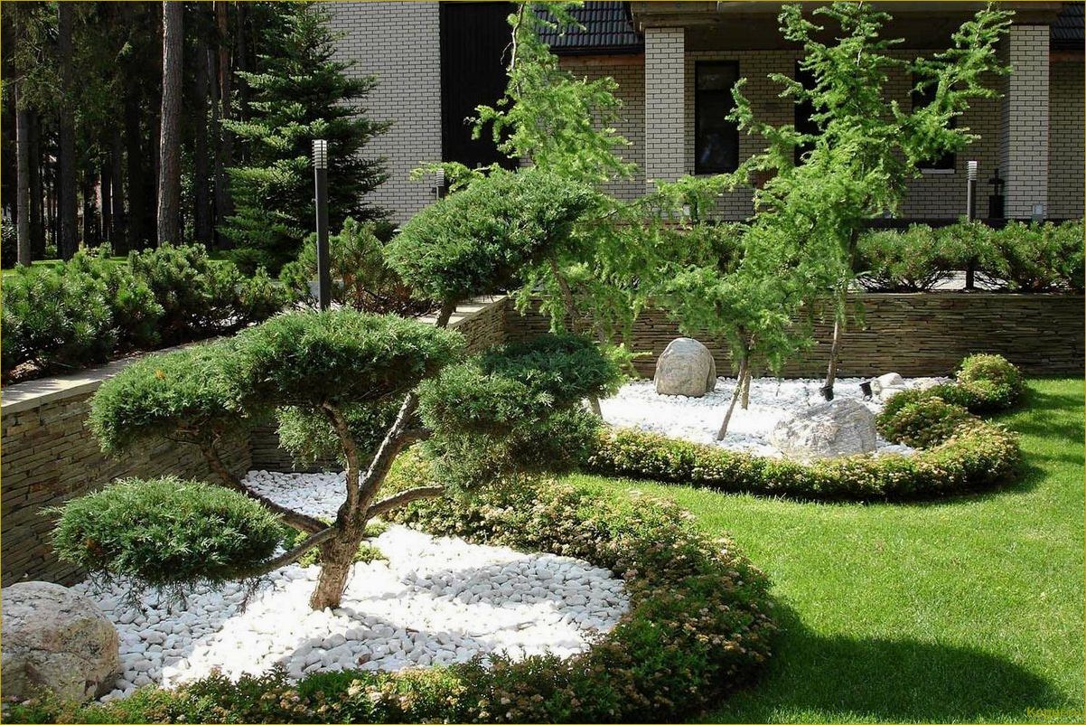 Карликовые деревья для сада — неординарное и эффектное оформление маленького участка