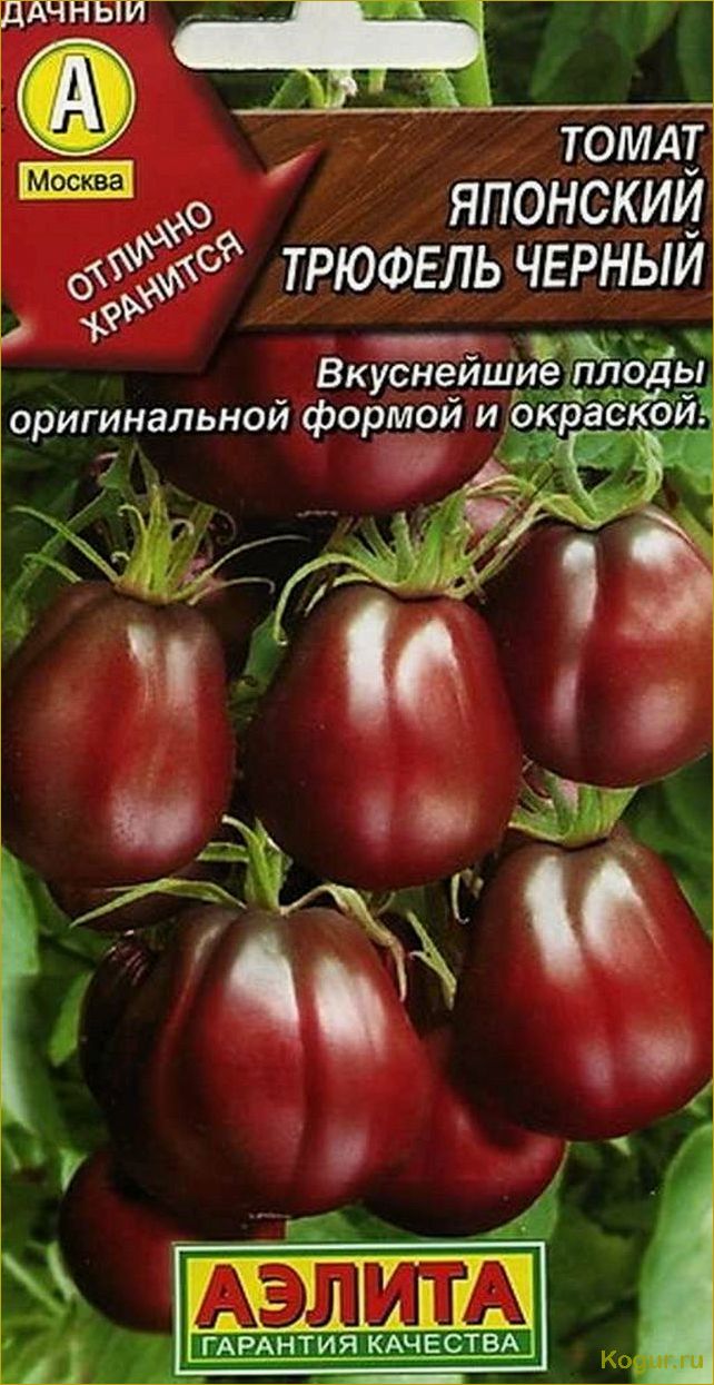 Японский трюфель: выбирайте себе любой сорт помидоров — красный, черный или золотой