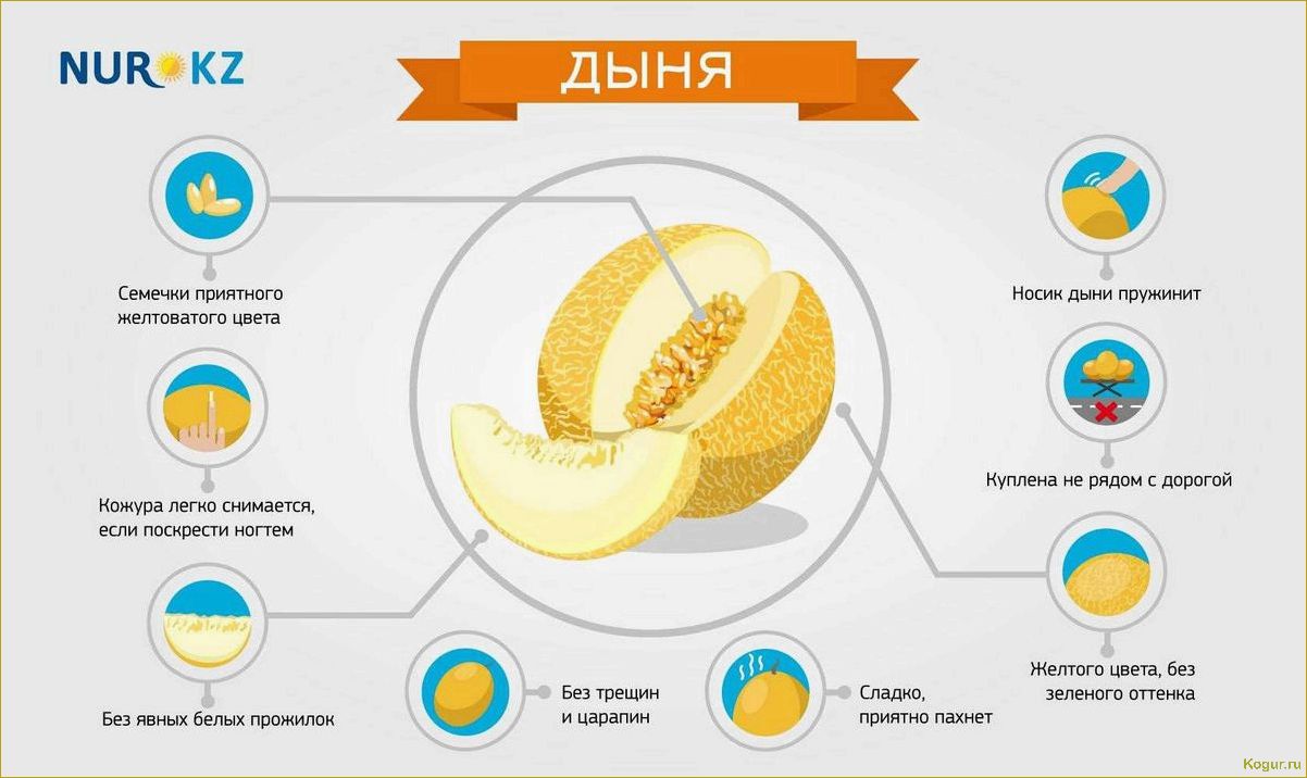 Полезные свойства удивительных семечек дыни