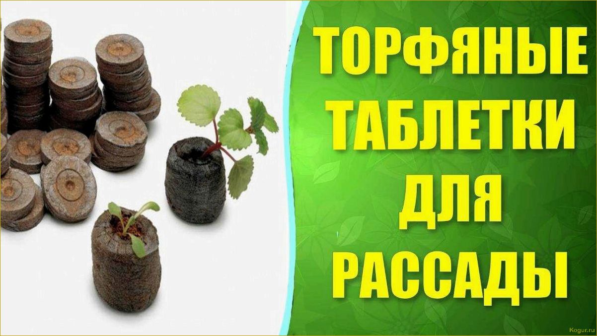 Преимущества использования торфяных таблеток для выращивания овощей и цветов из семян