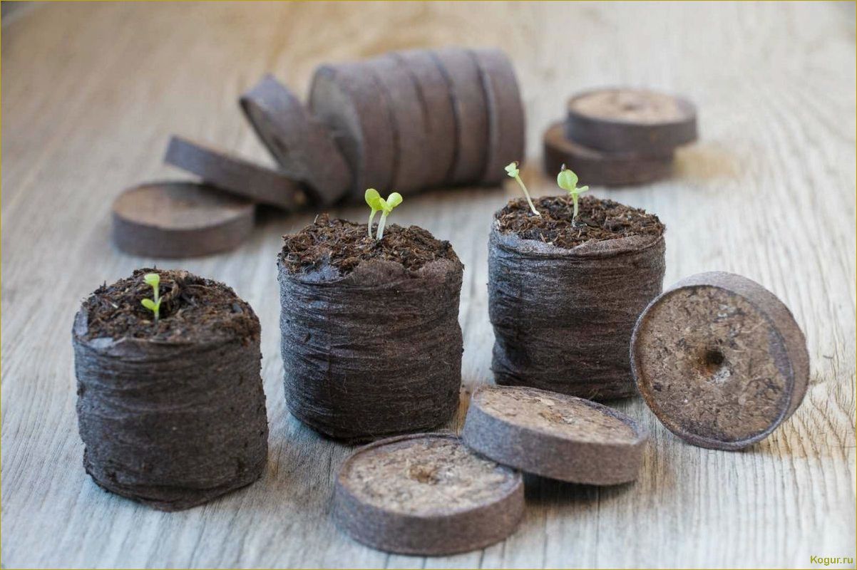 Преимущества использования торфяных таблеток для выращивания овощей и цветов из семян
