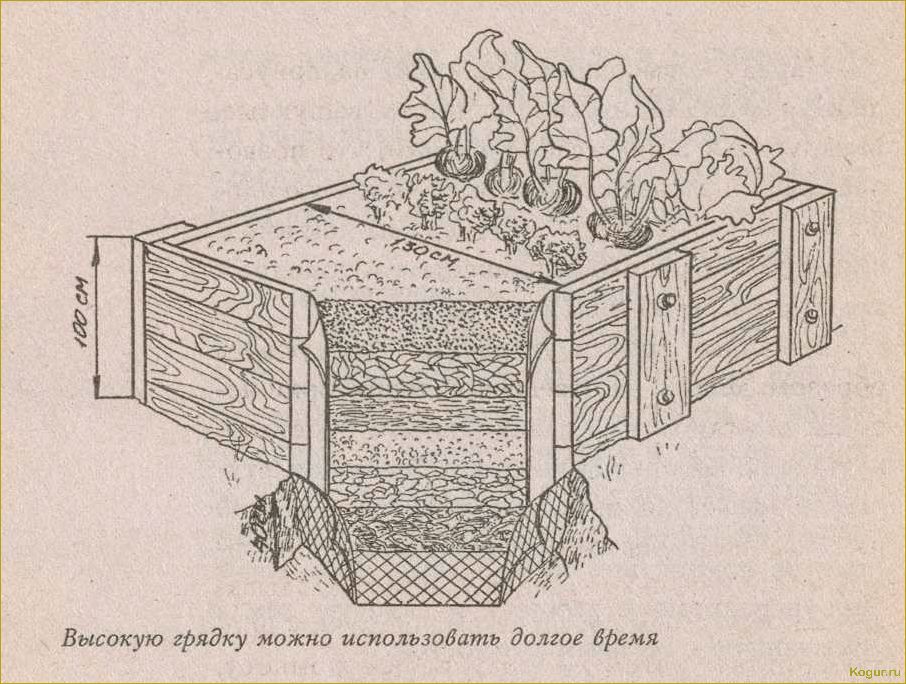 Высокие грядки своими руками: пошаговое изготовление, теплые грядки, круглые и треугольные грядки