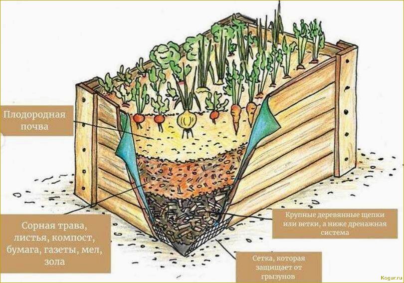 Высокие грядки своими руками: пошаговое изготовление, теплые грядки, круглые и треугольные грядки