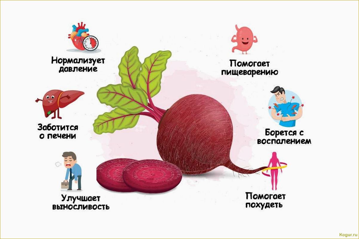 Болезни свеклы: наглядные фото, подробное описание и ситуационное лечение