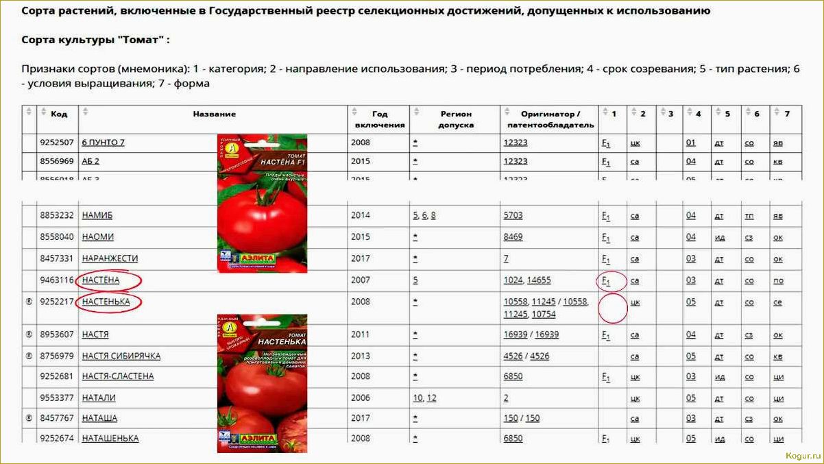 Какие сорта помидор самые урожайные?