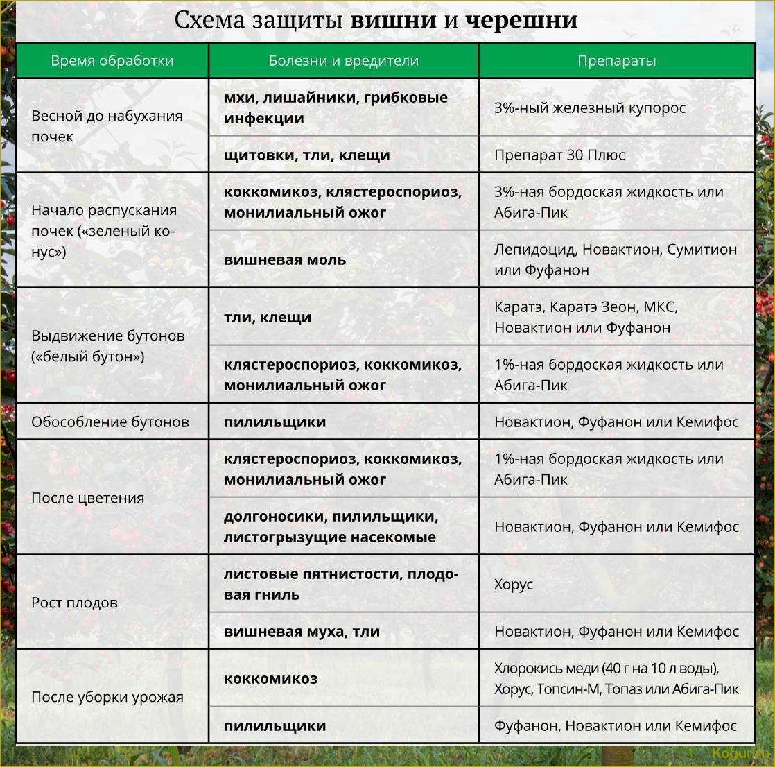 Опасные вредители цитрусовых культур: знакомство и методы борьбы