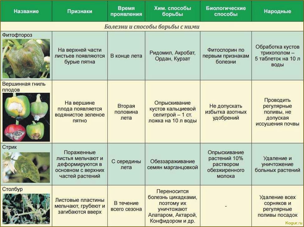 Опасные вредители цитрусовых культур: знакомство и методы борьбы