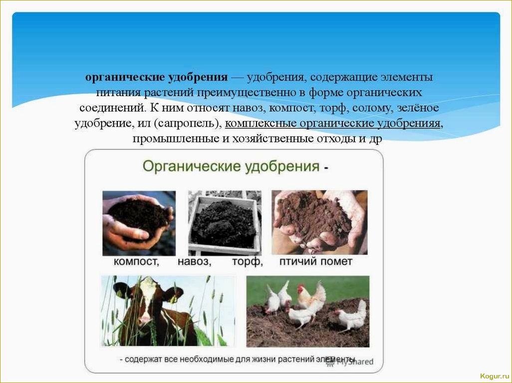 Органические удобрения из торфа: полезные свойства, применение и преимущества