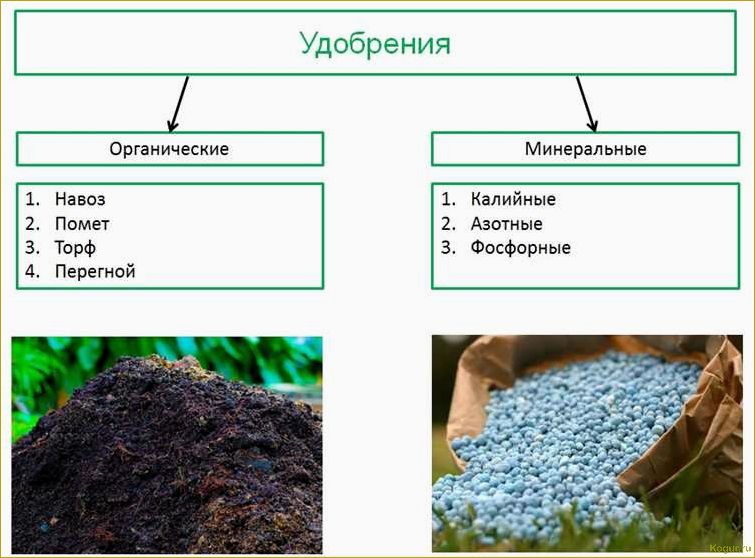 Органические удобрения из торфа: полезные свойства, применение и преимущества