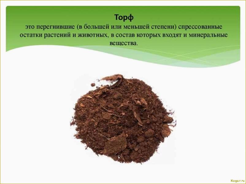 Органические удобрения из торфа: полезные свойства, применение и преимущества