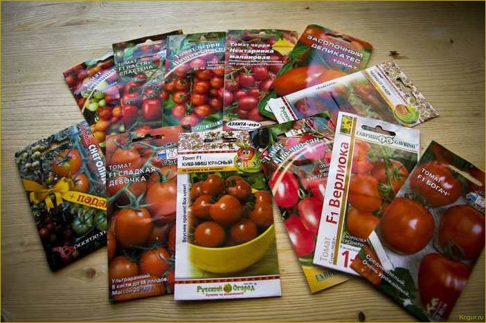 Семена лучших сортов томатов для Сибири: получите щедрый урожай