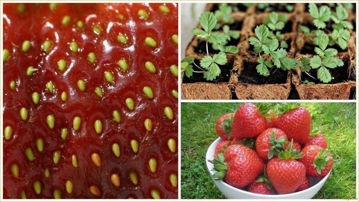 Секреты успешного выращивания вкусных ягод клубники сорта Альбион на даче