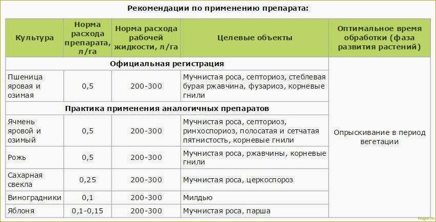 Как использовать фунгицид Кумулус для эффективной борьбы с грибковыми болезнями в саду и винограднике