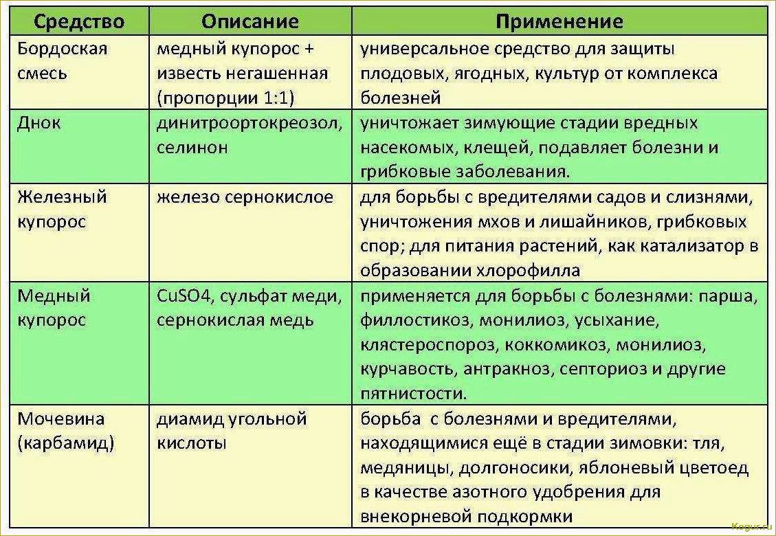 Как использовать фунгицид Кумулус для эффективной борьбы с грибковыми болезнями в саду и винограднике