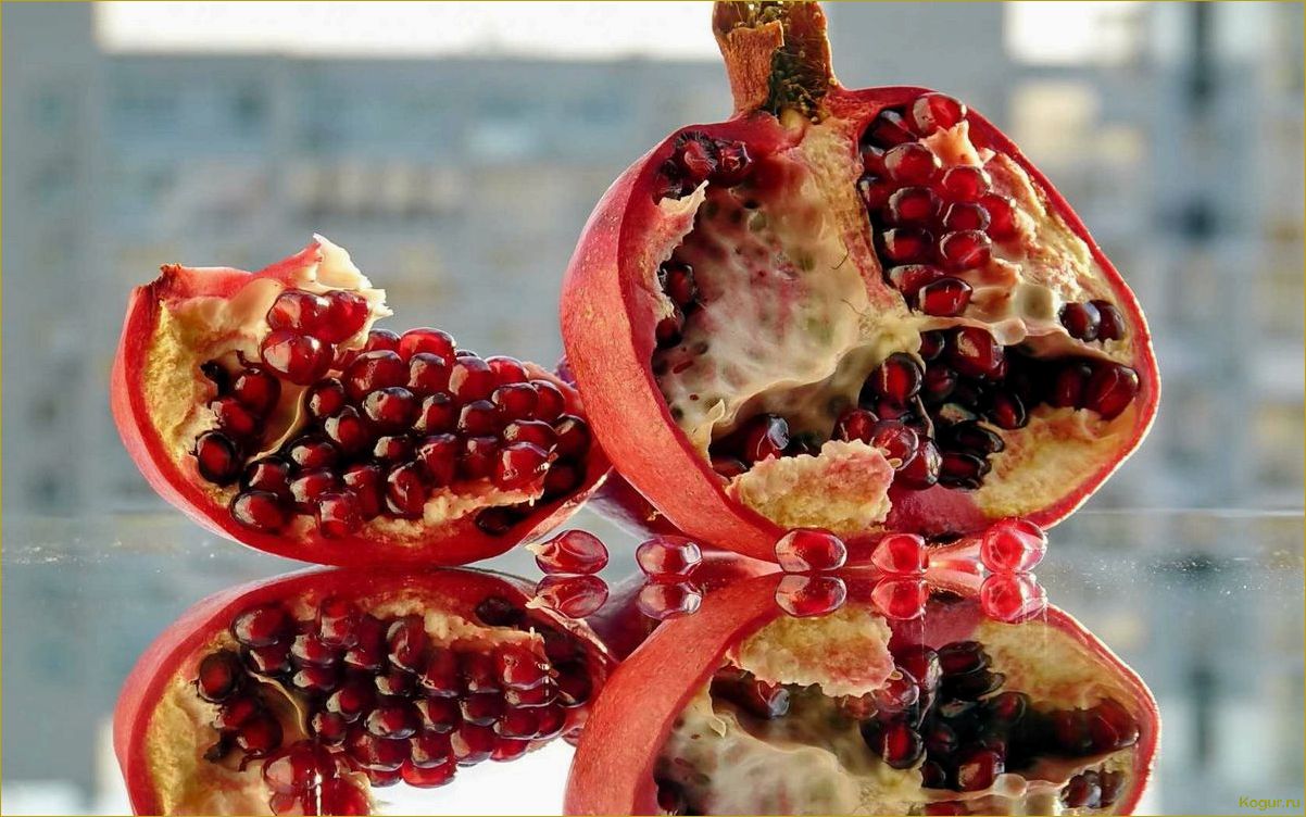Как растет «ларец» полезных микроэлементов — несравненный королевский фрукт гранат