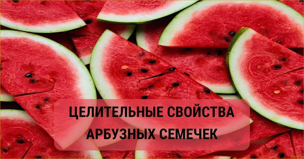 Польза и вред арбузных семечек для здоровья