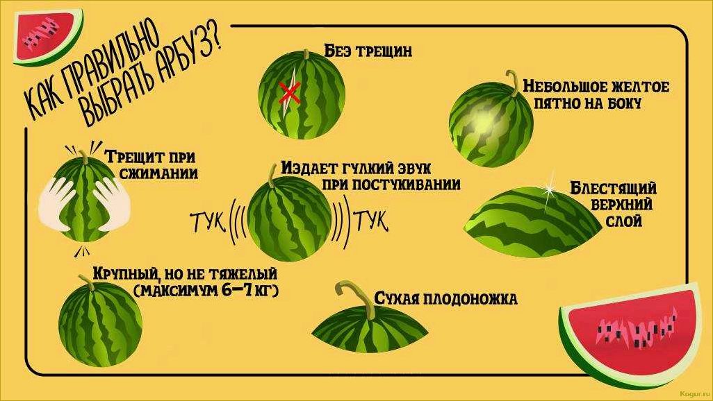 Польза и вред арбузных семечек для здоровья