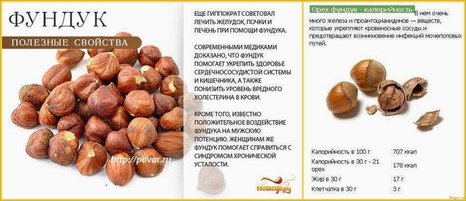 Польза серого ореха для здоровья и правила выращивания