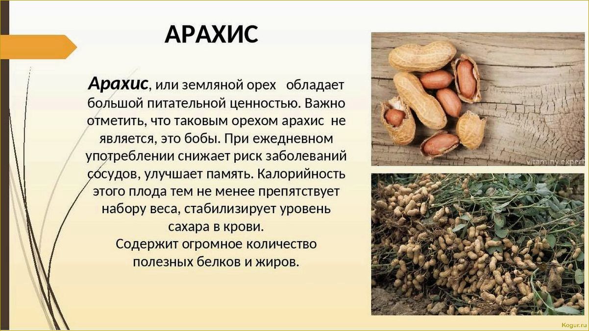 Польза серого ореха для здоровья и правила выращивания