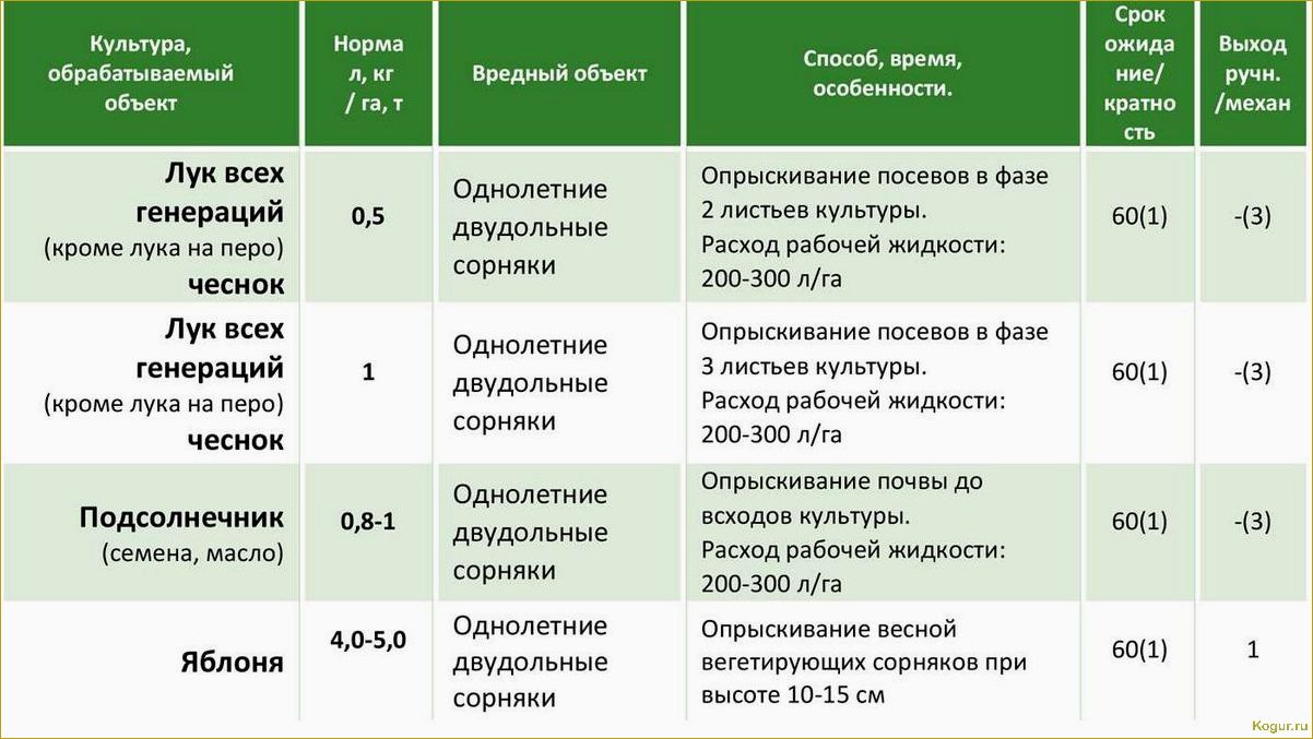 Гербицид Милагро — быстрое и эффективное очищение кукурузы от сорняков