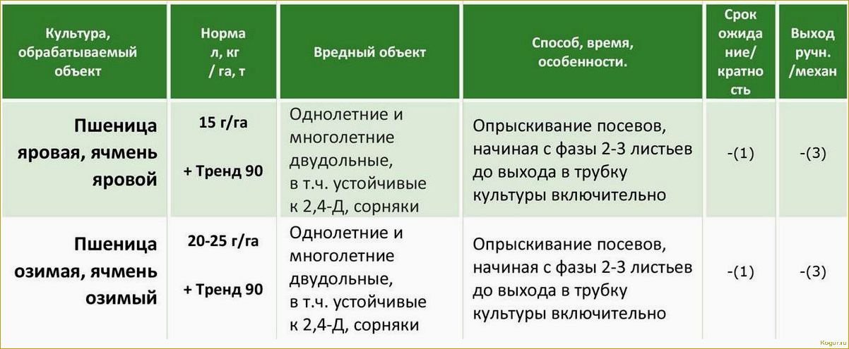 Гербицид Милагро — быстрое и эффективное очищение кукурузы от сорняков