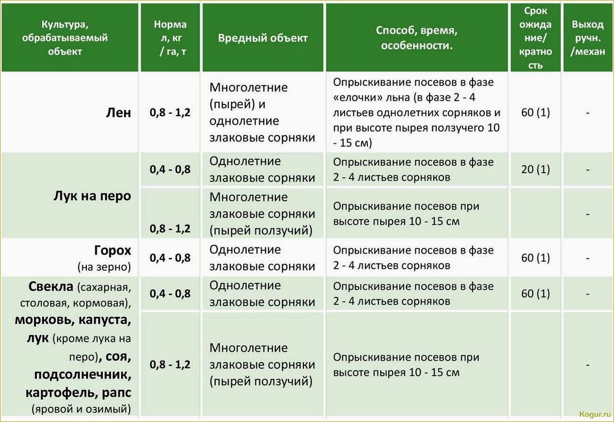 Гербицид Милагро — быстрое и эффективное очищение кукурузы от сорняков