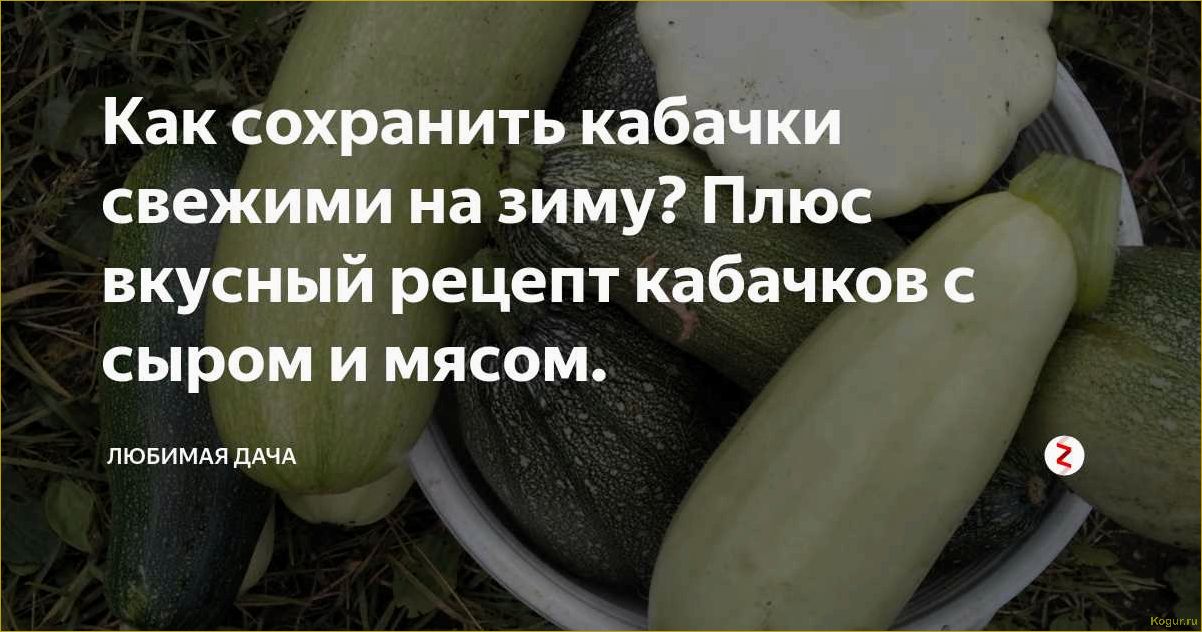 Как правильно хранить кабачки — доступные и полезные советы